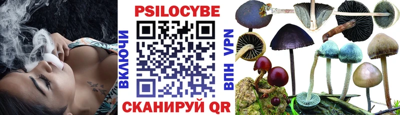 продажа наркотиков  Сертолово  Галлюциногенные грибы Cubensis 